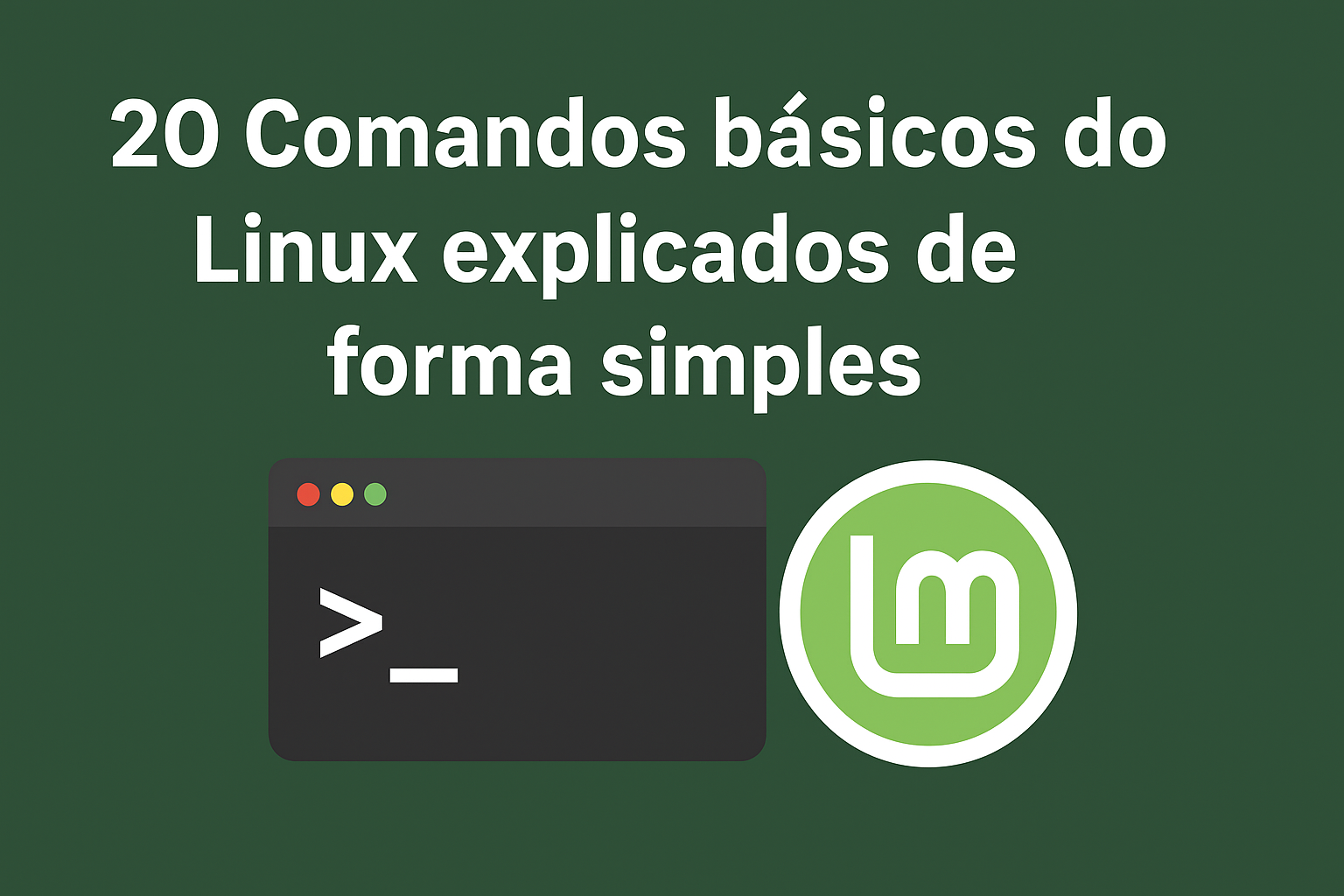 20 Comandos básicos do Linux explicados de forma simples
